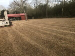 A freshly mowed lawn with distinct stripes, showcasing expert lawn care by L&L Lawn Care Service in Dothan, AL.