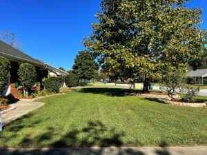A freshly mowed lawn with distinct stripes and neatly trimmed bushes by Kirby's Lawn Care Service in Franklinton, LA.