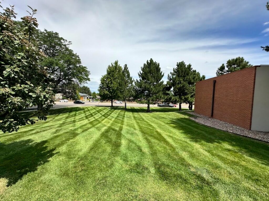 A freshly mowed lawn with distinct stripes, showcasing professional lawn care by Grow Green Irrigation Svc in Brighton, CO.