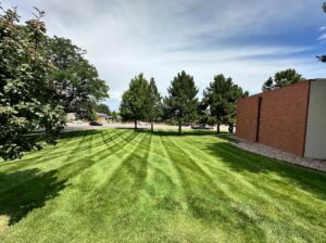 A freshly mowed lawn with distinct stripes, showcasing professional lawn care by Grow Green Irrigation Svc in Brighton, CO.