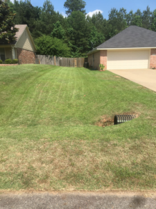 A freshly mowed lawn with distinct mowing stripes, demonstrating professional lawn care by Taylor Cutts lawn Care Service llc in Shreveport, LA