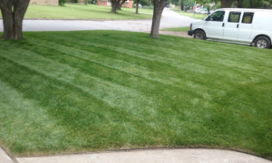 A freshly mowed lawn with perfect stripes, showcasing the quality work of K&R Lawn Care in Pass Christian, MS.