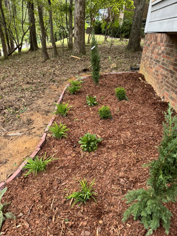 A freshly mulched flower bed with new plants and brick edging by D&L lawn care service in Hoover, AL