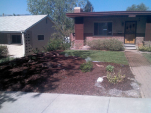 A freshly mulched residential front yard with new plantings, showcasing landscaping work by RMMLS in Colorado Springs, CO.