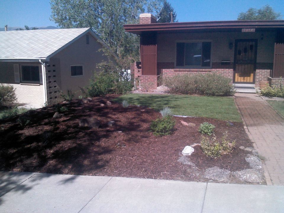 A freshly mulched residential front yard with new plantings, showcasing landscaping work by RMMLS in Colorado Springs, CO.