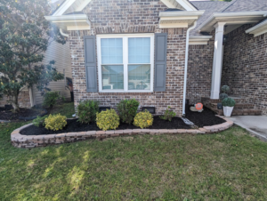 A freshly mulched garden bed with neatly trimmed shrubs by EGreen Lawn Pros, enhancing a home in Chattanooga, TN.