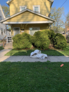 Freshly trimmed bushes in a front yard after landscaping work by Miguel Landscaping LLC in Janesville, WI.