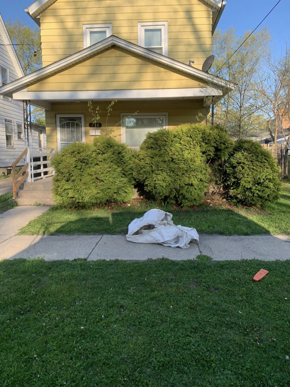 Freshly trimmed bushes in a front yard after landscaping work by Miguel Landscaping LLC in Janesville, WI.