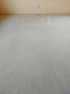 A freshly vacuumed light beige carpet in a residential room, showcasing professional cleaning by Clean Sweep Services in Summerville, SC.