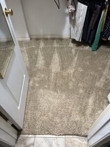 A freshly vacuumed light brown carpet in a closet by Mystic Steam Carpet & Upholstery Cleaning in Long Beach, CA
