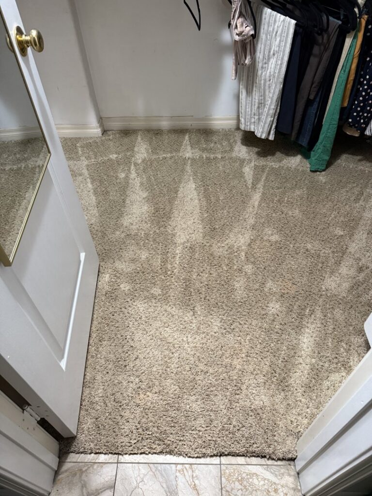 A freshly vacuumed light brown carpet in a closet by Mystic Steam Carpet & Upholstery Cleaning in Long Beach, CA
