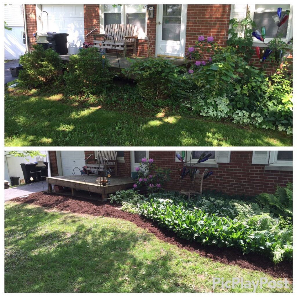 Before and after view of a front garden bed cleanup and mulching by Ryan's Lawn Service, LLC in Charlotte, NC.