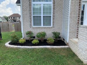 Front yard landscaping with fresh mulch and plants, bordered by pavers, by Cutting Edge Lawn Services in Islip, NY
