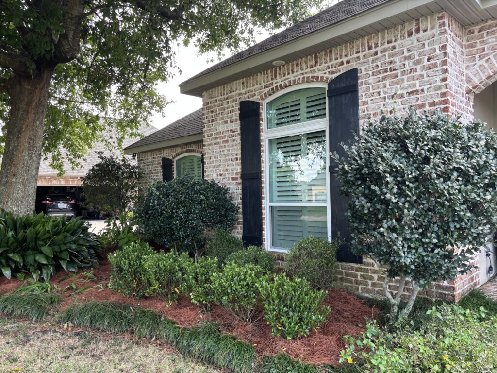 A front yard with neatly trimmed shrubs, fresh mulch, and green grass by Fresh Cuts Nola Lawn Service in New Orleans, LA.