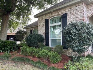 A front yard with neatly trimmed shrubs, fresh mulch, and green grass by Fresh Cuts Nola Lawn Service in New Orleans, LA.