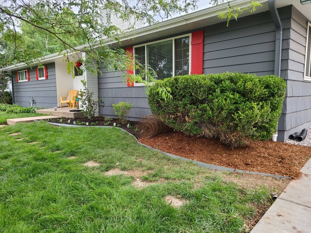 A well-maintained front yard featuring a healthy green lawn and freshly mulched garden beds by The Fisherman Landscaping LLC in Westminster, CO.