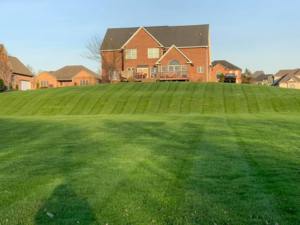 A perfectly striped front yard lawn in front of a large home, cared for by Clean Cuts Lawn Care in Cavetown, MD.