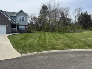 A neatly mowed front yard lawn with crisp stripes, demonstrating quality service from Hancock Lawn Care in Knoxville, TN.