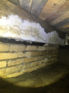 Significant fungal or mold growth on a wooden beam in a crawl space, indicating moisture issues for Brandon Mcgowan in Little Rock, AR.