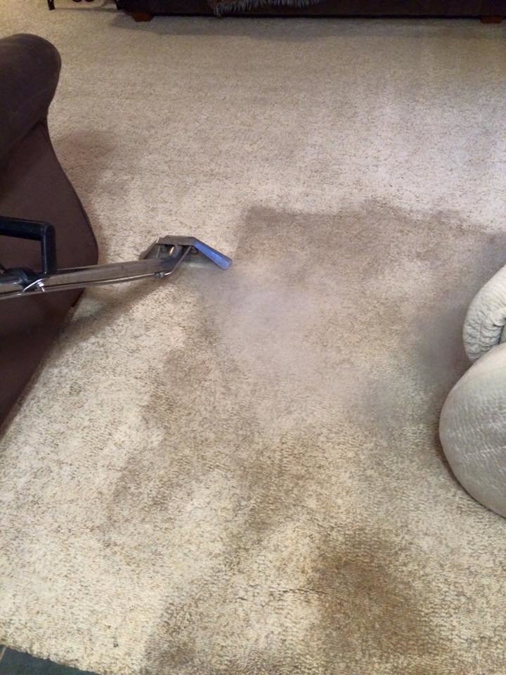 Yellow furniture protectors placed on a freshly cleaned carpet by Green Bay Carpet Cleaning in Green Bay, WI.