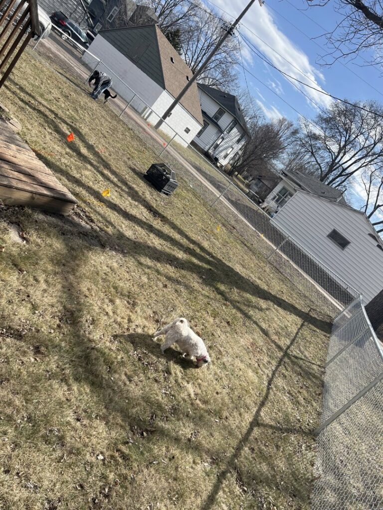 A galvanized chain-link fence running along a sloped backyard, installed by Mauer Company in Little Canada, MN.