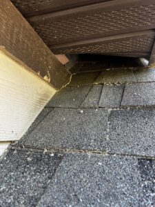 A gap under a roofline, showing a potential wildlife entry point for Defender Wildlife & Pest Control in Rogers, AR.