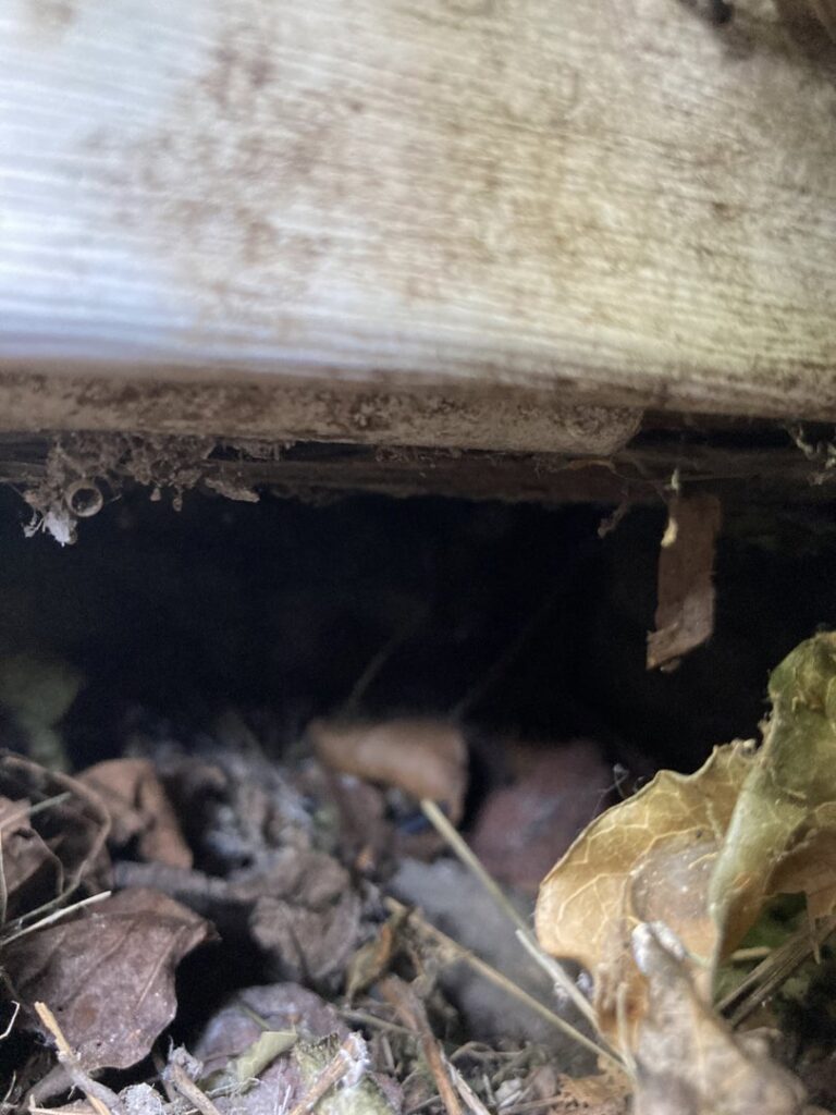 A gap under a wooden structure, a potential entry point for pests or wildlife, inspected by Ramer Pest Control in Fort Wayne, IN.