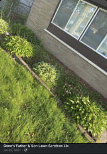 A garden bed with hostas and a mowed lawn, showcasing services by Geno's Father & Son Lawn Services Llc in Hammond, IN