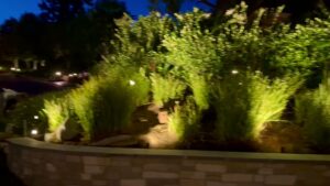Garden beds and a stone wall illuminated with subtle uplighting, showcasing landscape lighting by GL3 Luxury Lighting in Anaheim, CA.