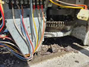 Close-up view of the internal wiring and gears of a gate opener by Automated Entry Systems Inc in Escondido, CA.