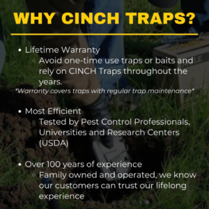 A gloved hand digging a hole in the ground to install a mole trap, demonstrating Cinch Traps pest control work in Beaverton, OR.