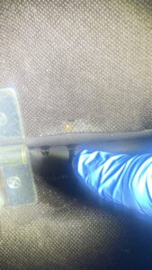 A gloved hand pointing to a small reddish-brown spot, likely a pest sign, during an inspection by Pest 2 Rest Pest Control LLC in Milwaukee, WI.