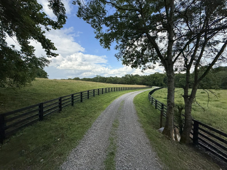 A gravel driveway lined with newly installed black wooden fences by The Fence Painter in Lynnville, TN.