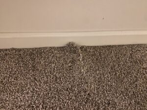Close-up of newly installed gray carpet neatly fitted against a white baseboard by Floor Gallery in Pearland, TX