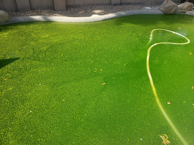 A green, algae-filled pool in need of professional cleaning from Cruz pool service and repair in Lees Summit, MO