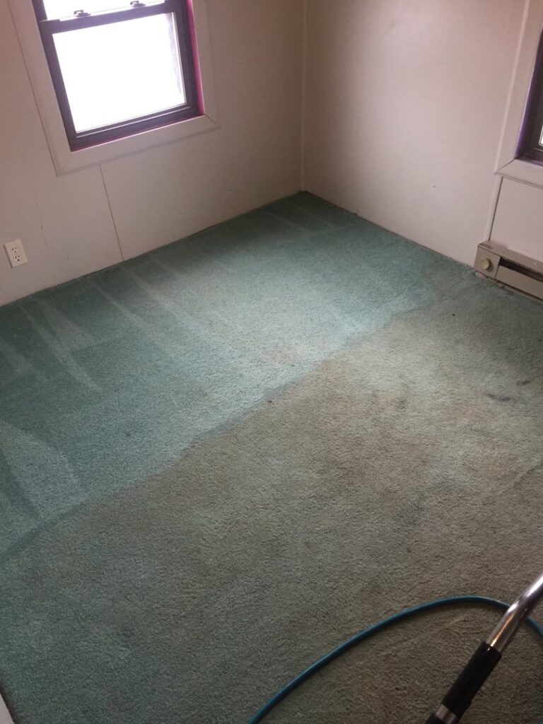 A green carpet being cleaned, showing a clear before and after difference by Complete Carpet Care in Fort Wayne, IN.