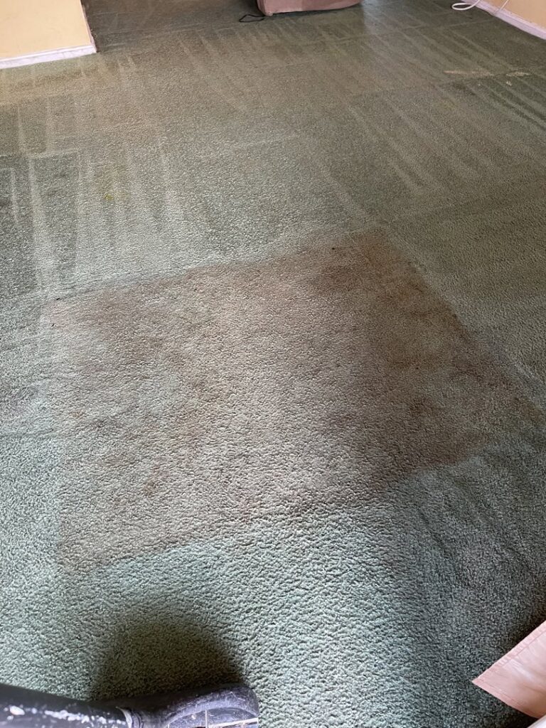 A green carpet showing a clear before and after, half cleaned by Affordable carpet cleaning CO LLC in Montgomery, AL.