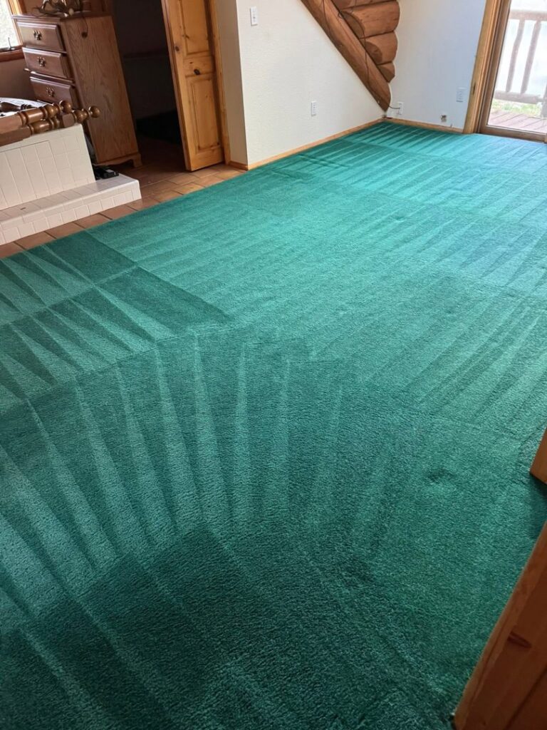 A vibrant green carpet with clear cleaning lines, demonstrating the professional service of 303 Carpet Cleaning in Lakewood, CO