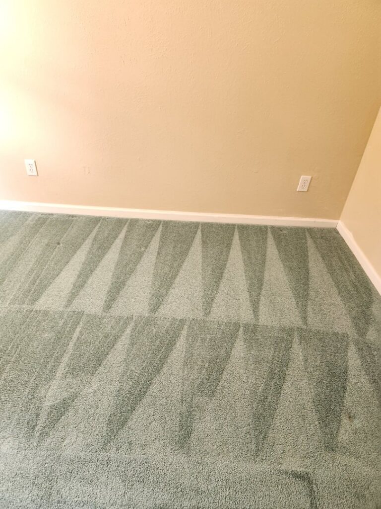 A green carpet showing distinct cleaning lines after service by Legendary Carpet Care+ in Toledo, OH.
