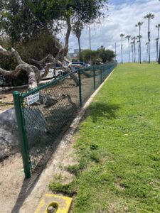 A newly installed green chain-link fence along a grassy area by All Around Fence Page in Imperial Beach, CA.