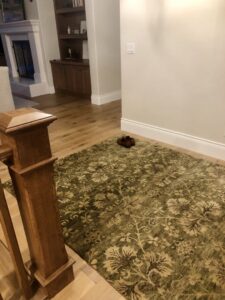 A beautiful green patterned area rug on a hardwood floor in a home, provided by Artifacts Fine Rugs and Flooring in South Salt Lake, UT.