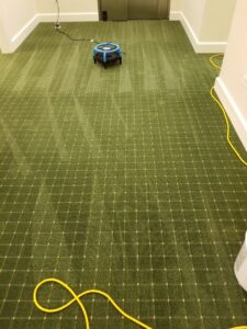 A green patterned carpet with visible cleaning lines and a drying fan, serviced by Advanced Floor Cleaning, Inc. in Elgin, IL