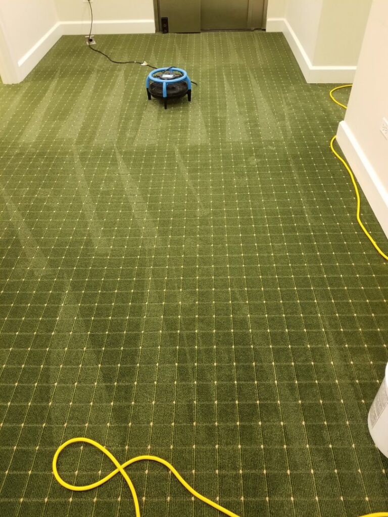 A green patterned carpet with visible cleaning lines and a drying fan, serviced by Advanced Floor Cleaning, Inc. in Elgin, IL