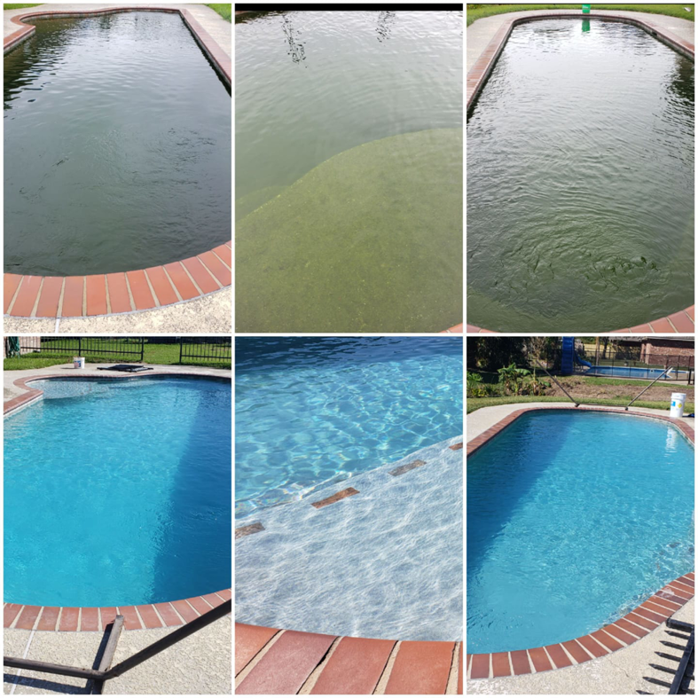 A collage of before and after images demonstrating a green, dirty pool restored to crystal clear by Pool Doctors in Cape Coral, FL.