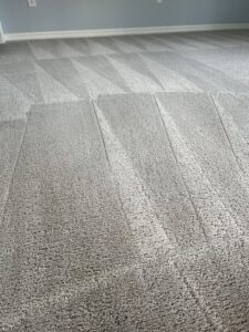 Professional grey carpet cleaning showing clear before and after lines by The Best Carpet & Tile Cleaners in Alva, FL.
