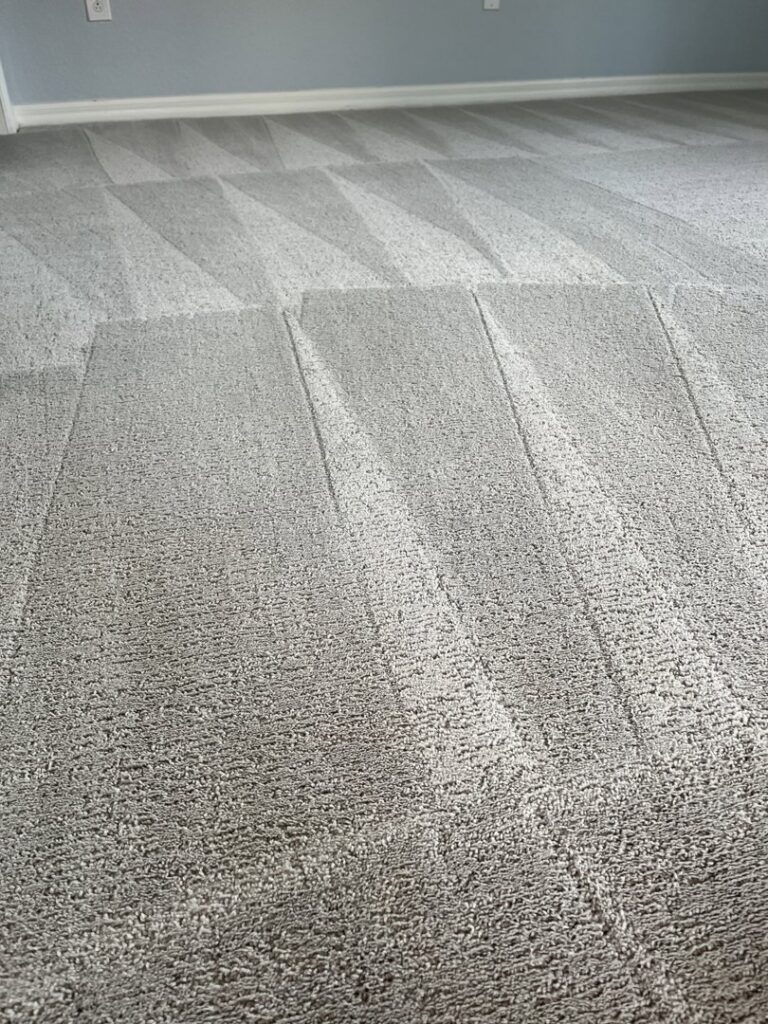 Professional grey carpet cleaning showing clear before and after lines by The Best Carpet & Tile Cleaners in Alva, FL.