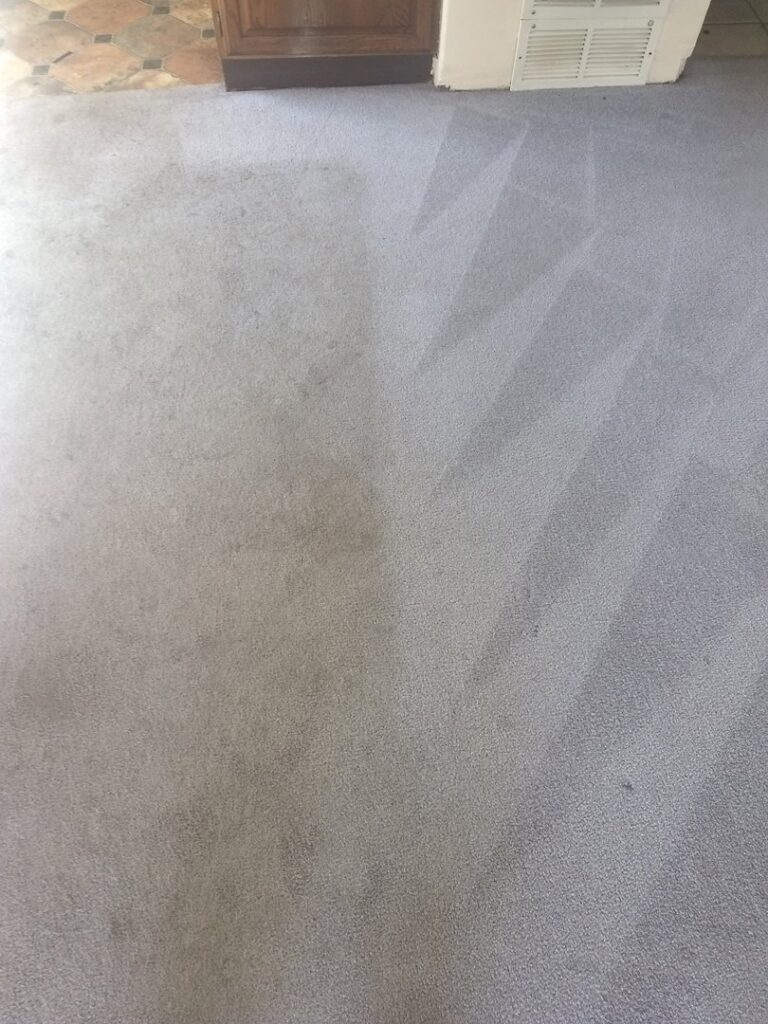 A grey carpet being cleaned, showing a clear line between dirty and clean sections, by Carpet Masters of Albuquerque, NM.