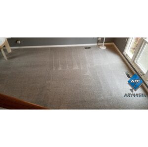Results of professional carpet cleaning on a grey carpet, showing distinct lines by Advanced Floor Cleaning, Inc. in Elgin, IL