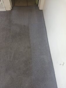 A grey carpet showing a clear distinction between cleaned and uncleaned sections by Carpet Masters of Albuquerque, NM.