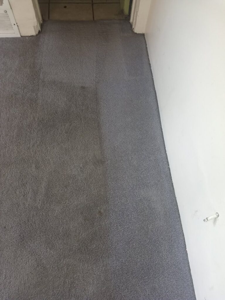 A grey carpet showing a clear distinction between cleaned and uncleaned sections by Carpet Masters of Albuquerque, NM.